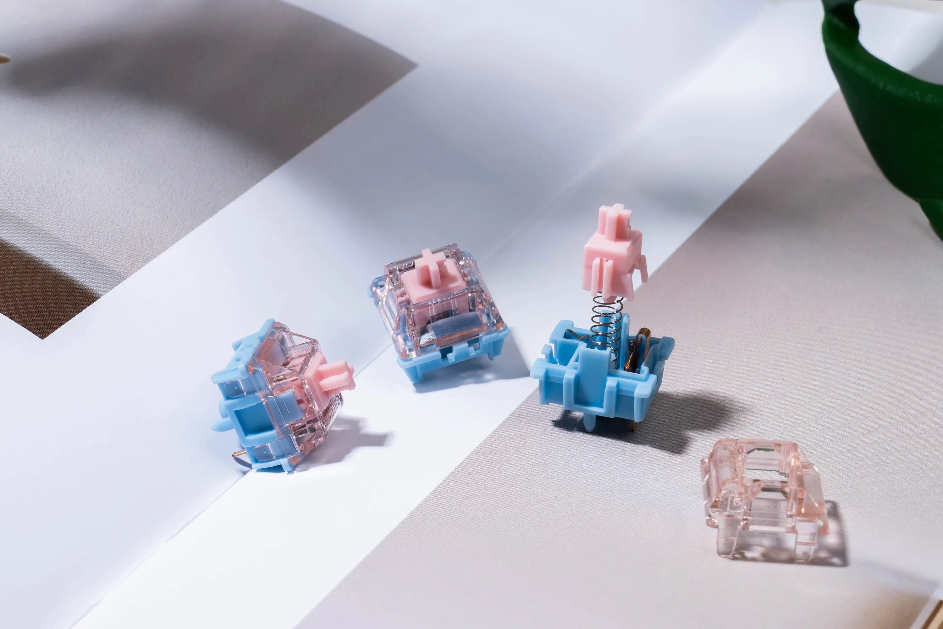 Breaking Down Switch Characteristics: What Does "Actuation Force" Really Mean?