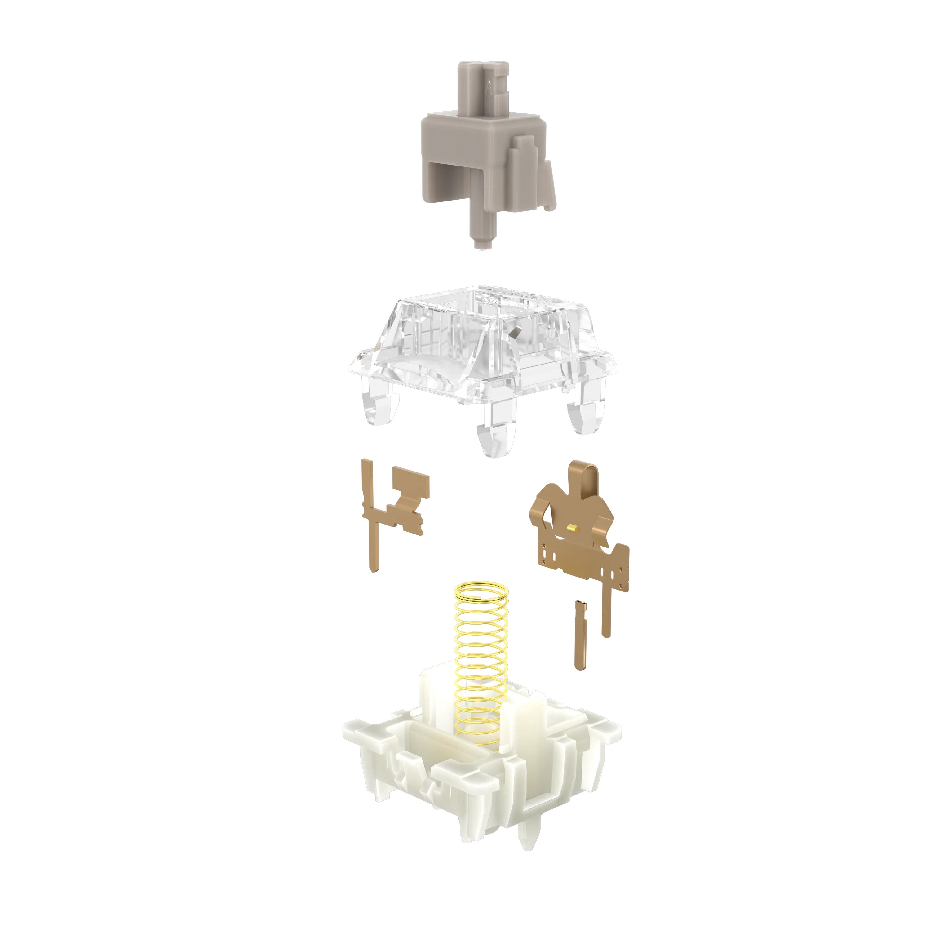 Gateron Baby Raccoon 2.0 Pre-lubed Switches - Thumbnail 2